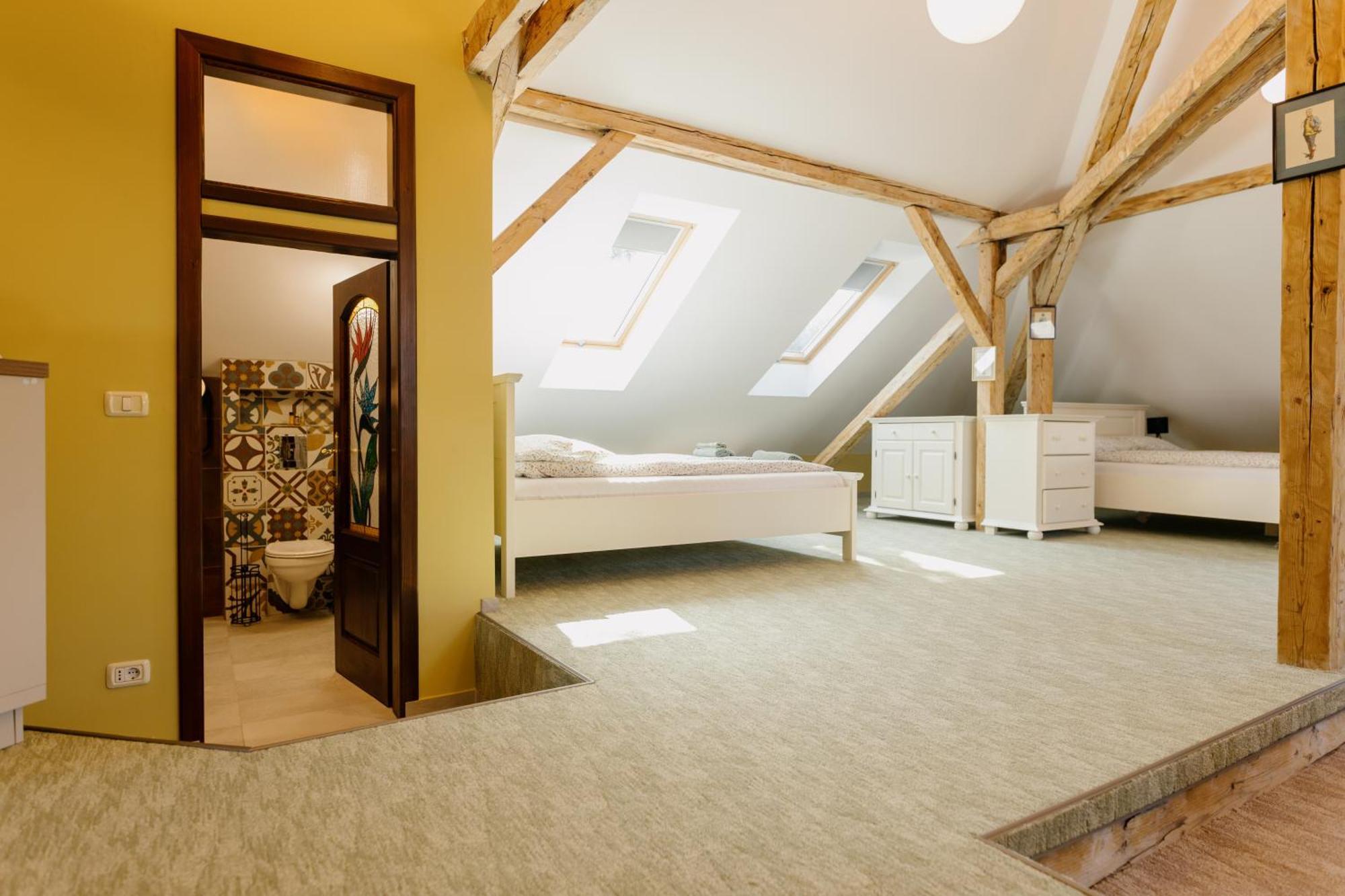 Apartament Attic *