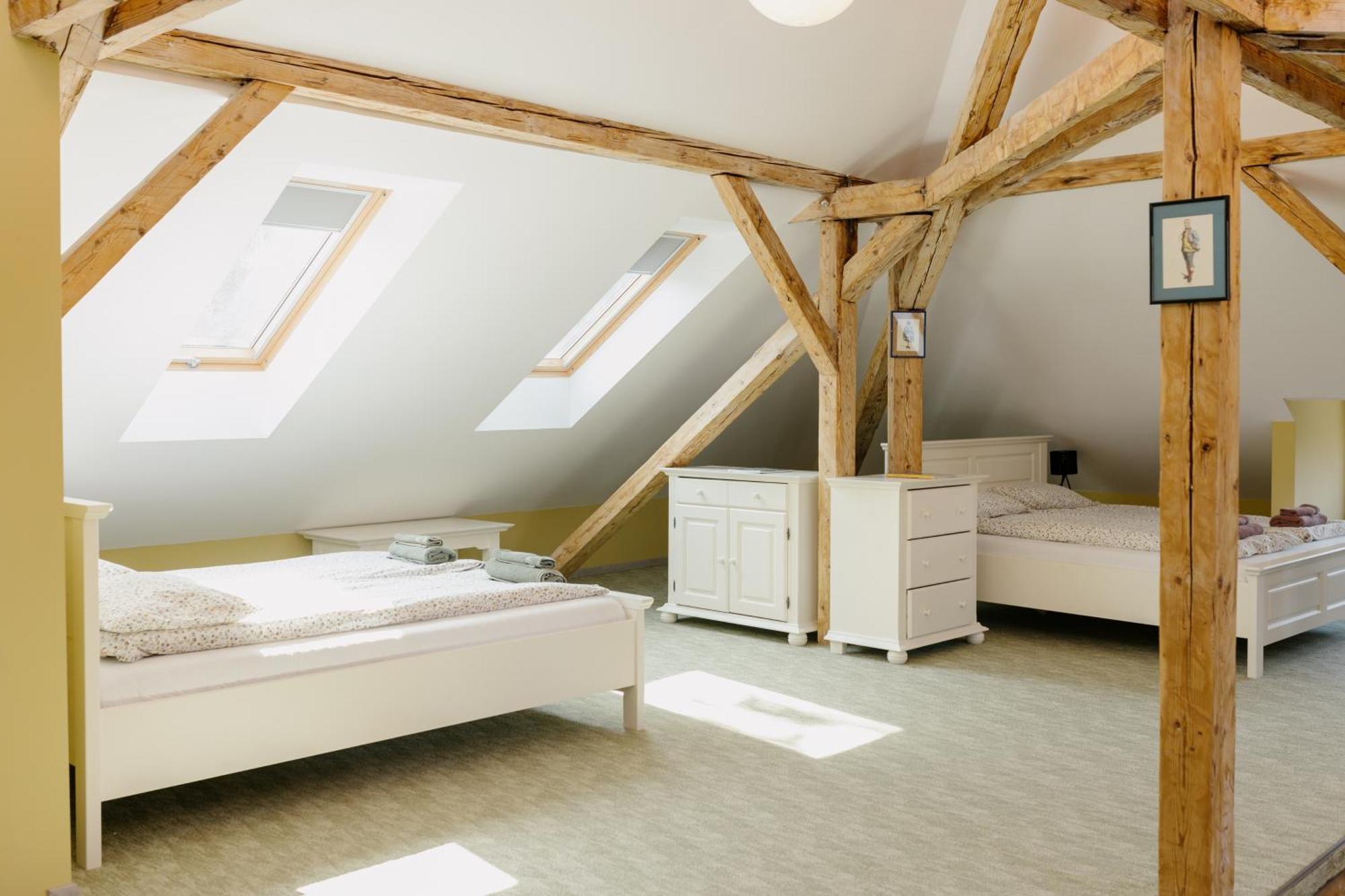 Attic Timişoara